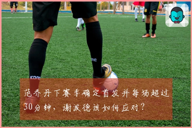 范乔丹下赛季确定首发并每场超过30分钟，谢泼德该如何应对？