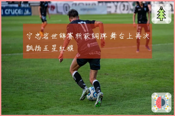宁忠岩世锦赛斩获铜牌 舞台上再次飘扬五星红旗