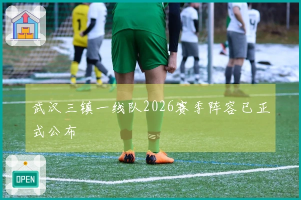 武汉三镇一线队2026赛季阵容已正式公布